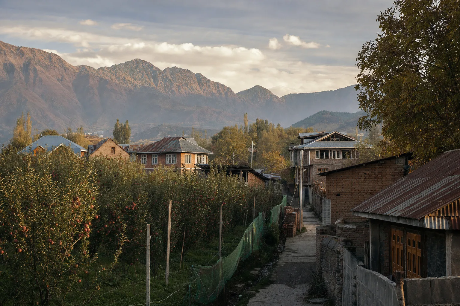 Home services in Budgam, Kashmir
