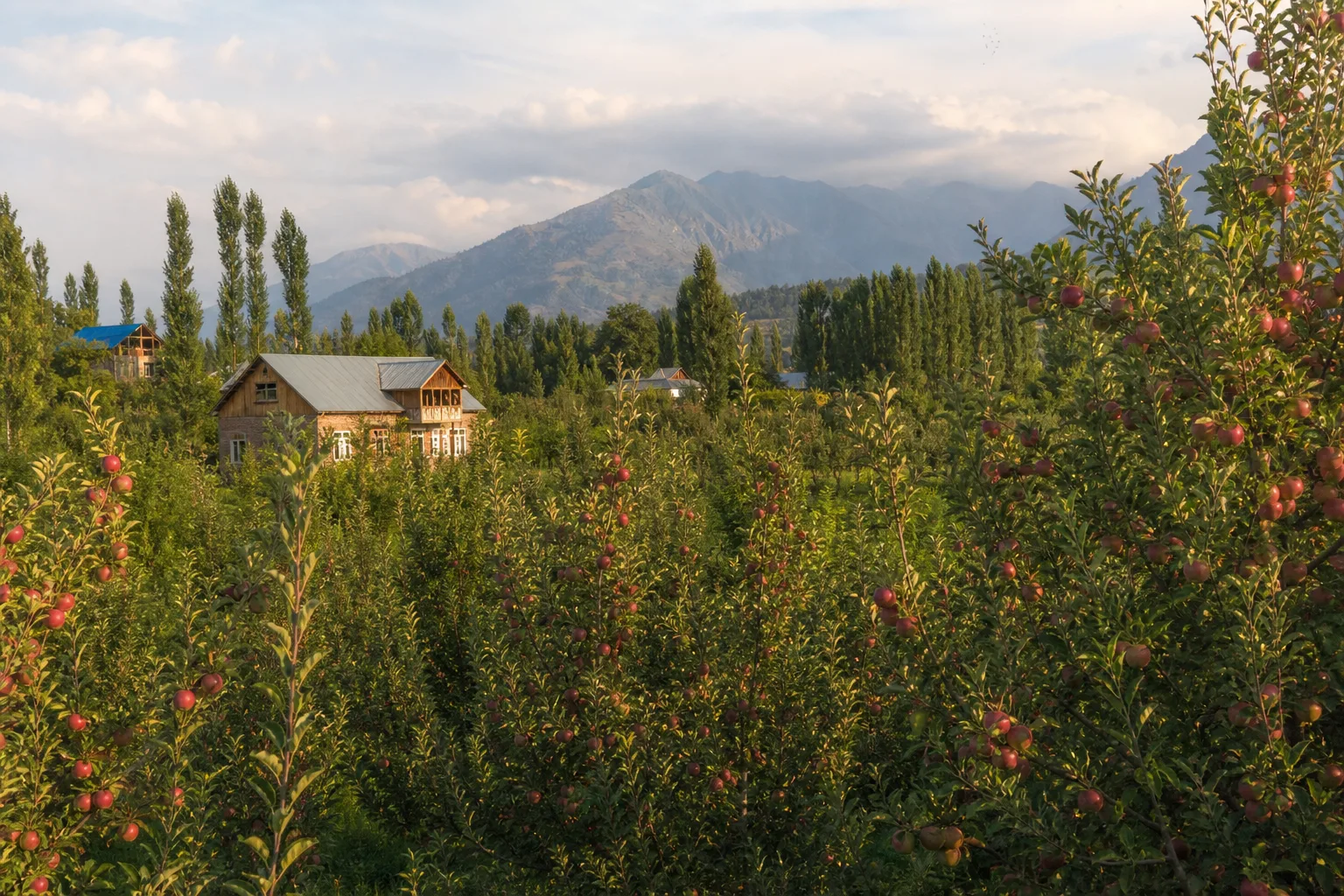 Home services in Kulgam, Kashmir