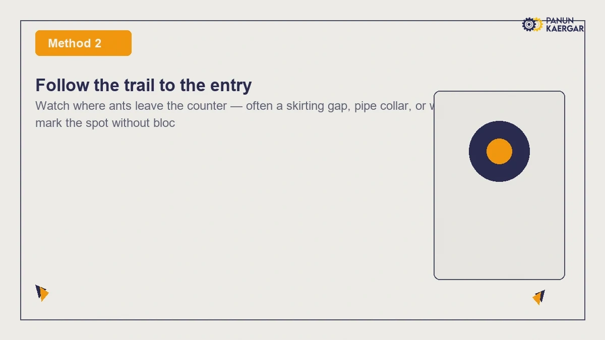 Follow the trail to the entry — Watch where ants leave the counter — often a skirting gap, pipe collar, or window frame...