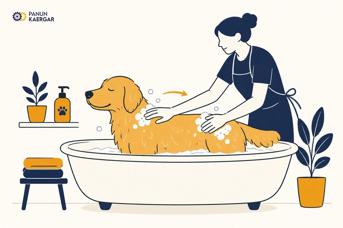 Bathing a dog with lukewarm water and pet-safe shampoo