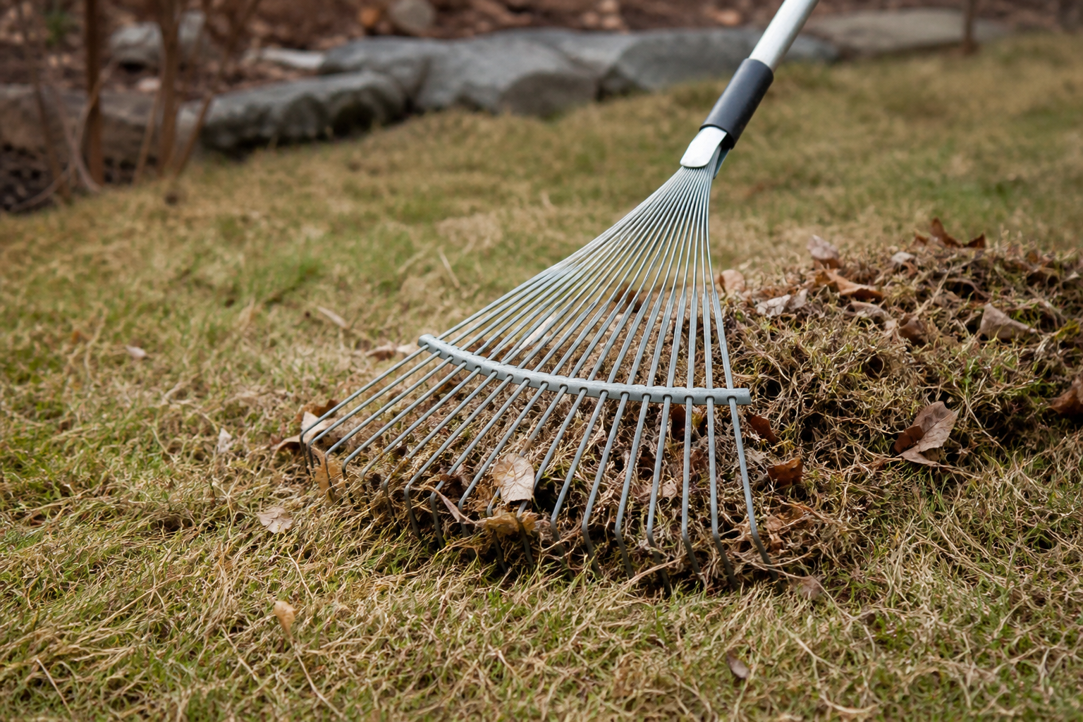 Light rake lifting leaves and matted lawn debris