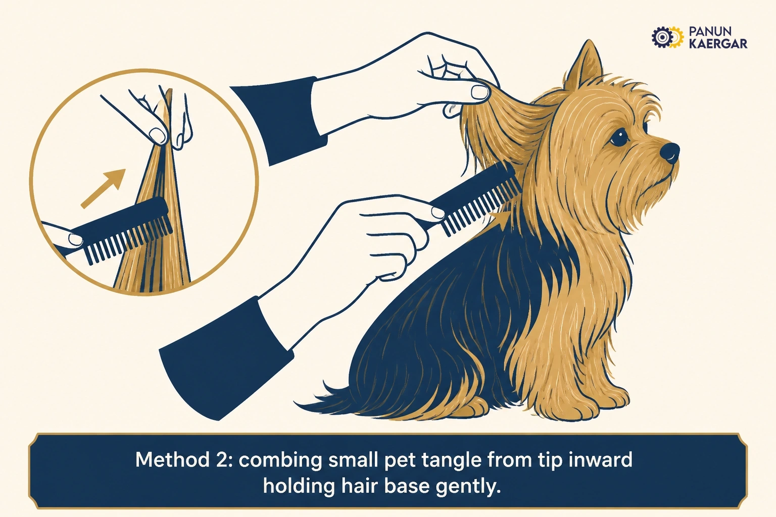 Use a comb, not scissors first — Hold the base of the hair and work from the tip inward gently