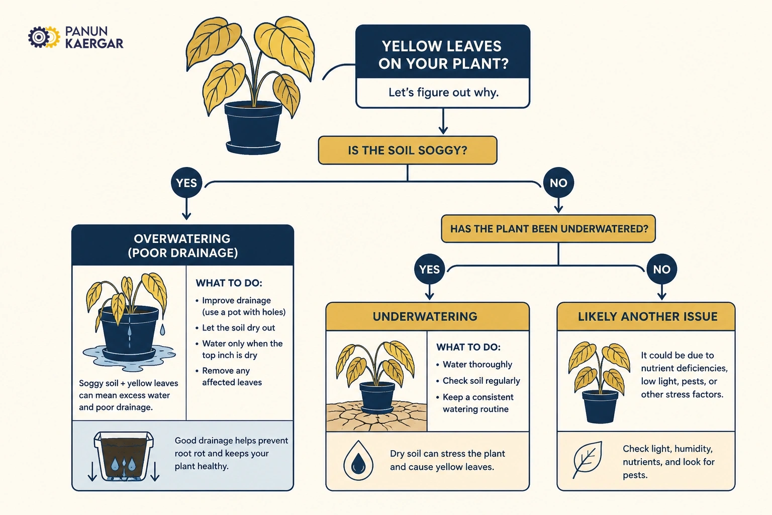 Diagnosis diagram for plants looking sad