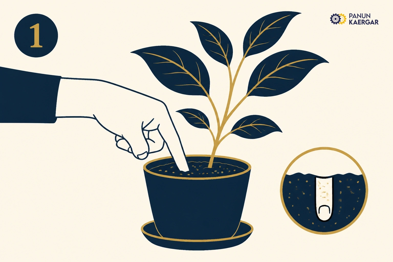 Test the soil — Stick a finger or skewer in; water only if the top few centimetres are dry