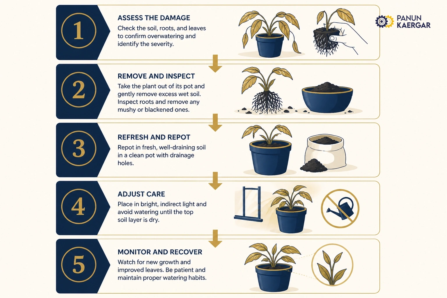 Practical plants looking sad troubleshooting steps